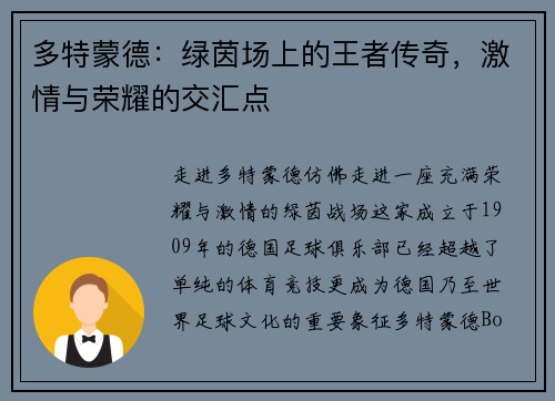 多特蒙德：绿茵场上的王者传奇，激情与荣耀的交汇点