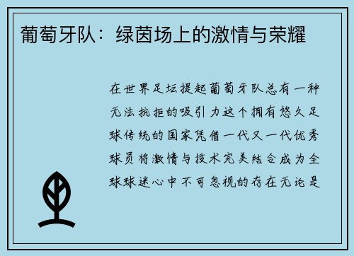 葡萄牙队：绿茵场上的激情与荣耀