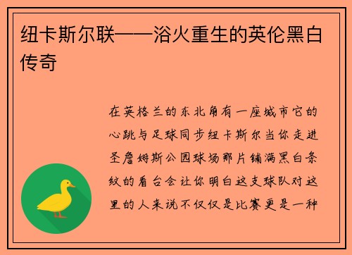 纽卡斯尔联——浴火重生的英伦黑白传奇